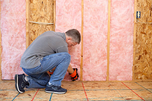 Insulation Replacement Services in West Union, IA